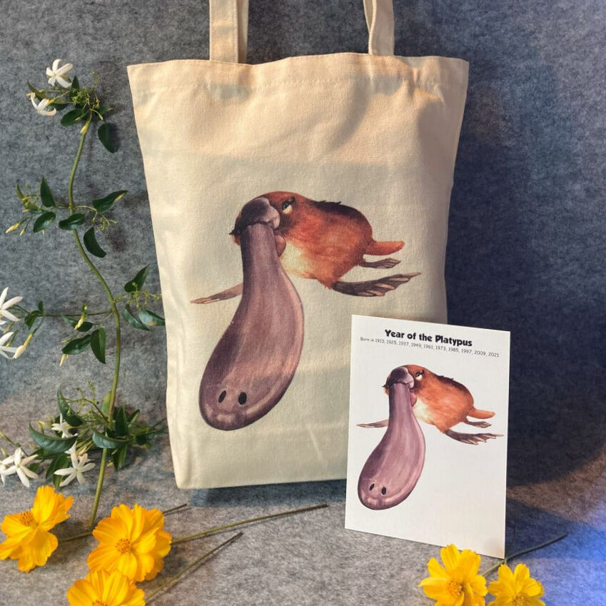 Birthday Gift Set - (1 Card + 1 Canvas Tote Bag) of one Oztrology Animal Star