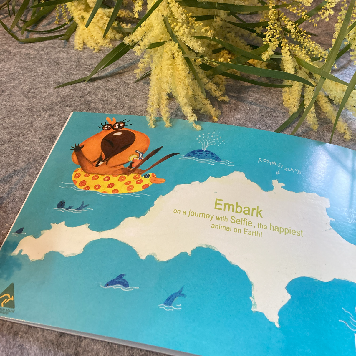SELFIE THE QUOKKA CHILDREN'S BOOK - your bed time story telling with the kids !