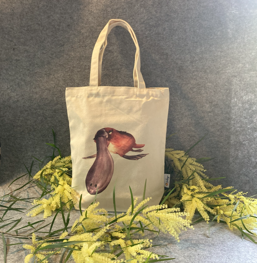 For Individual Customer - Canvas Tote Bag